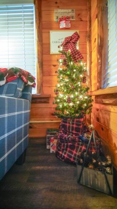 Charming Lakeview Cabin Near Geneva-On-The-Lake! Ashtabula Exterior photo
